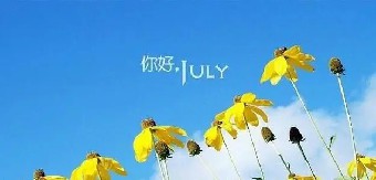 其运行程序和机制来自英国是独立的非政府组......《企业标准化指南》摘录